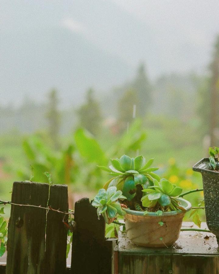D Home Sapa 2 エクステリア 写真